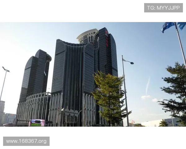 大中华国际集团中国有限公司发展战略与未来展望
